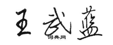 駱恆光王武藍行書個性簽名怎么寫