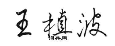 駱恆光王植波行書個性簽名怎么寫