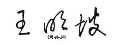 駱恆光王明坡草書個性簽名怎么寫