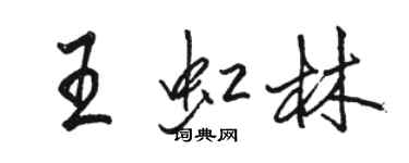 駱恆光王虹林行書個性簽名怎么寫