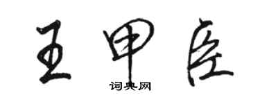 駱恆光王甲臣行書個性簽名怎么寫