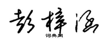 朱錫榮彭梓涵草書個性簽名怎么寫