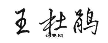駱恆光王杜鵑行書個性簽名怎么寫