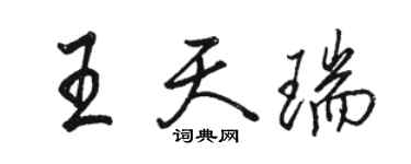 駱恆光王天瑞行書個性簽名怎么寫