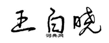 曾慶福王白曉草書個性簽名怎么寫