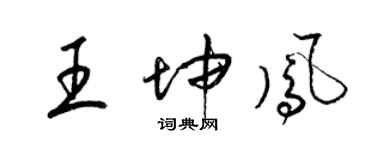 梁錦英王坤鳳草書個性簽名怎么寫