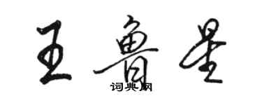 駱恆光王魯星行書個性簽名怎么寫