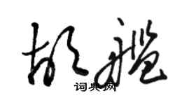 駱恆光胡艦草書個性簽名怎么寫