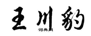胡問遂王川豹行書個性簽名怎么寫