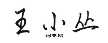 駱恆光王小叢行書個性簽名怎么寫