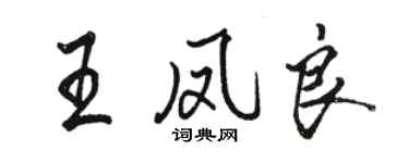 駱恆光王鳳良行書個性簽名怎么寫