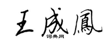 王正良王成鳳行書個性簽名怎么寫