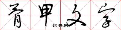 曾慶福骨甲文字草書怎么寫