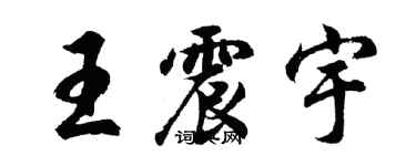 胡問遂王震宇行書個性簽名怎么寫