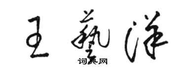 駱恆光王藝洋草書個性簽名怎么寫