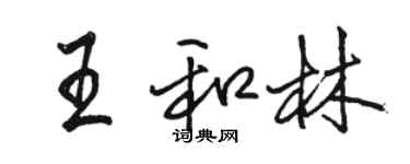 駱恆光王和林行書個性簽名怎么寫