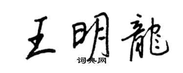 王正良王明龍行書個性簽名怎么寫