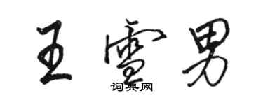 駱恆光王雪男行書個性簽名怎么寫