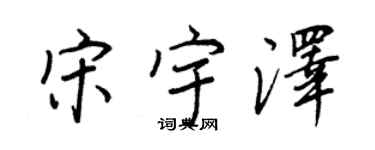王正良宋宇澤行書個性簽名怎么寫