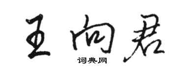 駱恆光王向君行書個性簽名怎么寫