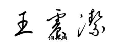 梁錦英王震潔草書個性簽名怎么寫