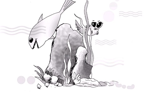 小魚歷險記_小魚歷險記作文