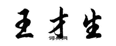 胡問遂王才生行書個性簽名怎么寫