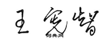 駱恆光王憲智草書個性簽名怎么寫