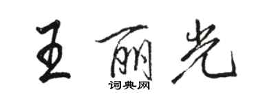 駱恆光王麗光行書個性簽名怎么寫