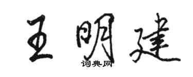 駱恆光王明建行書個性簽名怎么寫