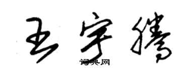 朱錫榮王宇騰草書個性簽名怎么寫