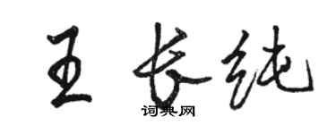 駱恆光王長純行書個性簽名怎么寫