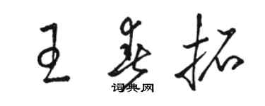 駱恆光王春拓草書個性簽名怎么寫