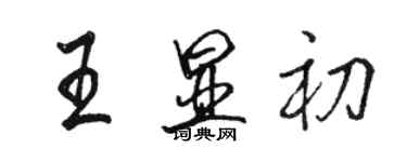 駱恆光王顯初行書個性簽名怎么寫