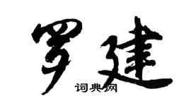 胡問遂羅建行書個性簽名怎么寫