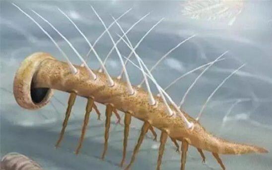 1947年9月26日中共中央的“中央突破,兩翼牽制、三軍挺進,互為犄角”的戰略布_歷史上的今天