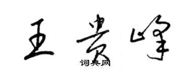 梁錦英王貴峰草書個性簽名怎么寫