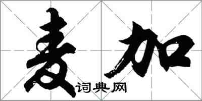 胡問遂麥加行書怎么寫