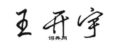 駱恆光王開宇行書個性簽名怎么寫