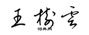 梁錦英王樹雲草書個性簽名怎么寫