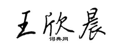 王正良王欣晨行書個性簽名怎么寫