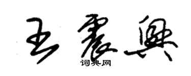 朱錫榮王震興草書個性簽名怎么寫