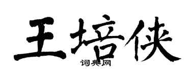 翁闓運王培俠楷書個性簽名怎么寫