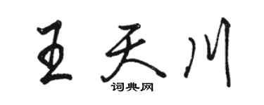 駱恆光王天川行書個性簽名怎么寫