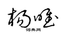 曾慶福楊唯草書個性簽名怎么寫