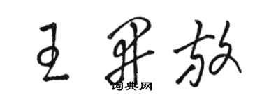 駱恆光王開放草書個性簽名怎么寫