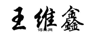 胡問遂王維鑫行書個性簽名怎么寫
