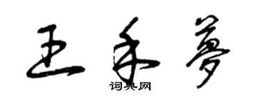 曾慶福王禾夢草書個性簽名怎么寫