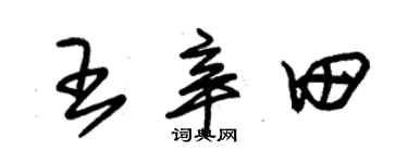 朱錫榮王辛田草書個性簽名怎么寫