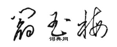 駱恆光閻玉梅草書個性簽名怎么寫